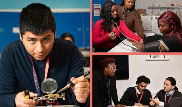 Students in engineering, health and business