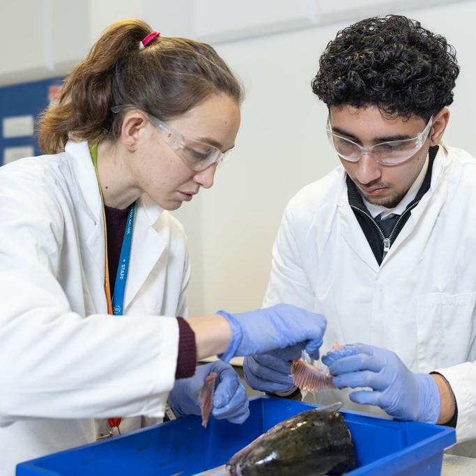Male and female scientists at SBU6
